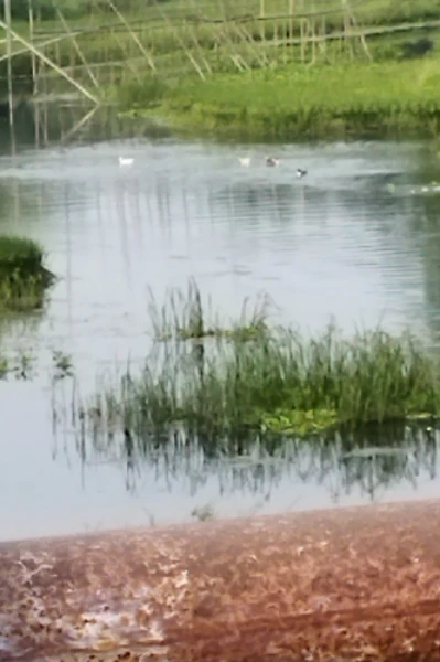 স্বপ্নপূরণ