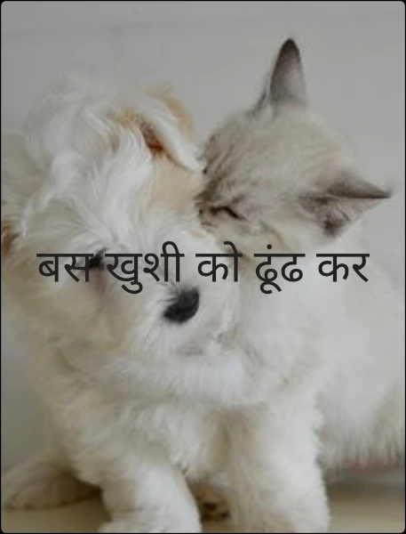 बस खुशी को ढूंढ कर