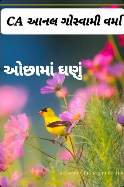 ઓછામાં ઘણું