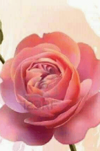 అభినందన