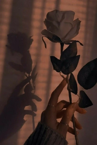 અંધારામાં એક પડછાયો ( માઇક્રો ફિક્સન)