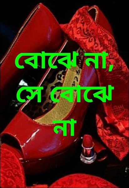 বোঝে না, সে বোঝে না