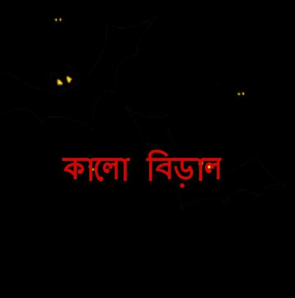 কালো বিড়াল