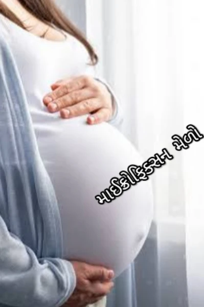 ગર્ભાવસ્થા ( માઈક્રોફિક્સન મેળો )