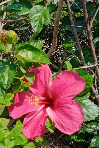 রাঙিয়ে দিয়ে যাও (প্রথম ভাগ)