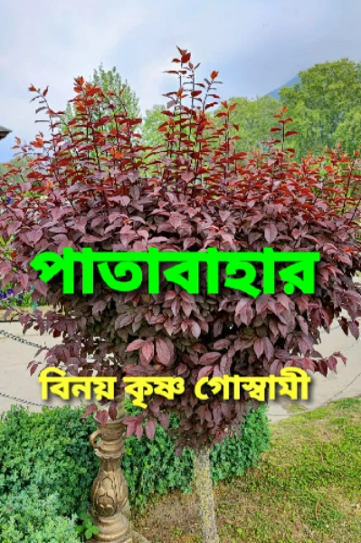 পাতাবাহার