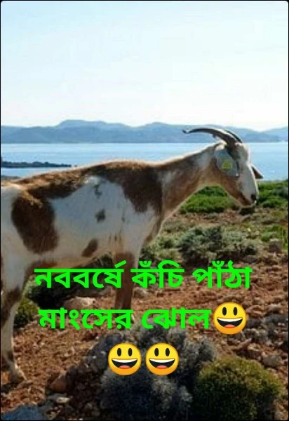 নববর্ষে কঁচি পাঁঠা মাংসের ঝোল😃😃😃