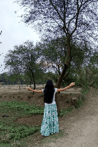 নতুন জীবন