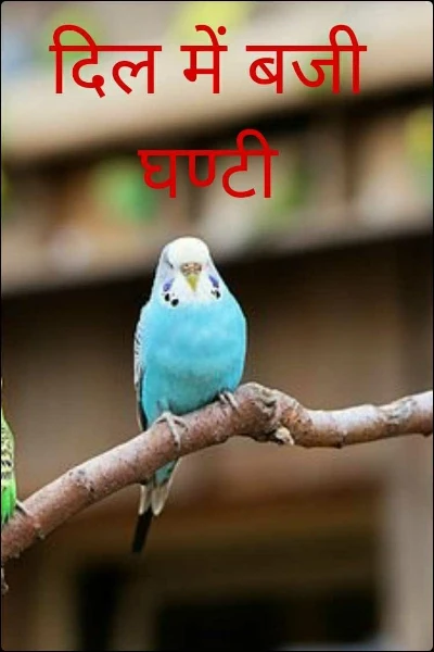 दिल में बजी घण्टी