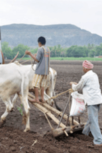 दर्पण कथा संग्रह
