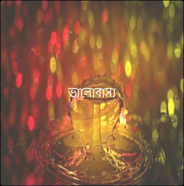 ভালোবাসা