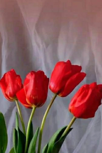 नहले पर दहला!!!