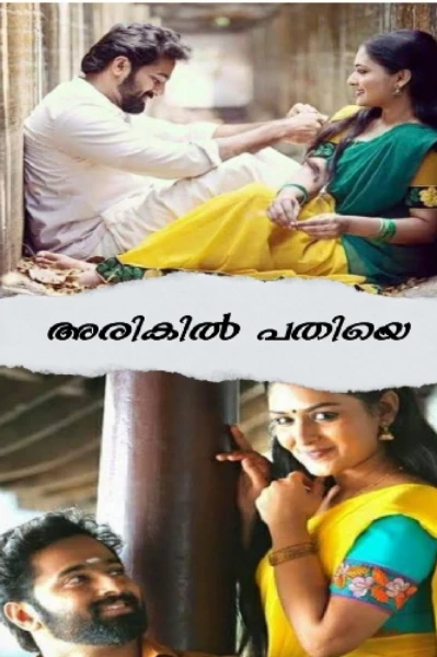 അരികിൽ പതിയെ🥀