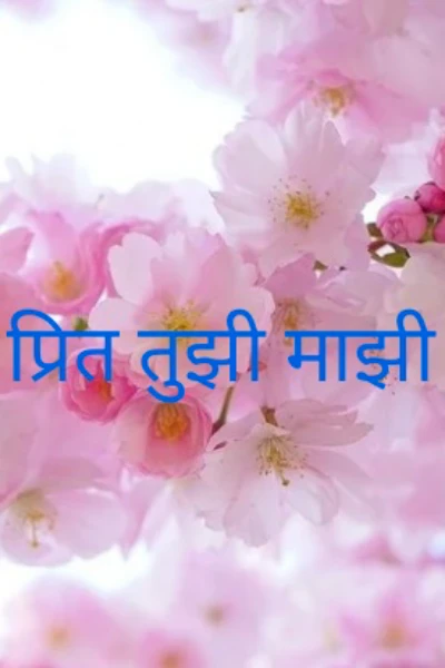 प्रित तुझी माझी