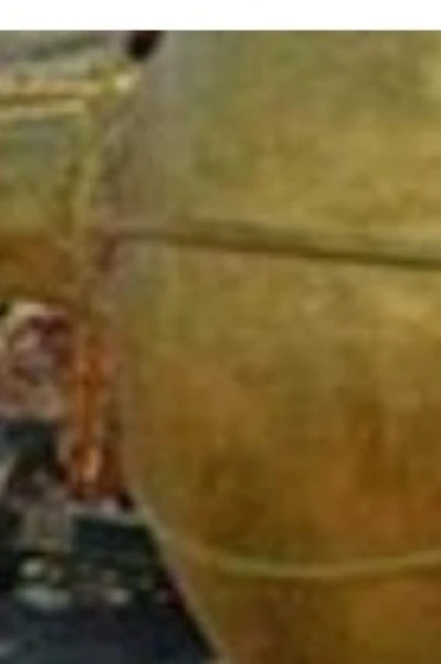 সোনার গদা ( শ্যামল বন্দ্যোপাধ্যায়)