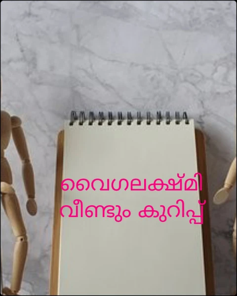 വൈഗലക്ഷ്മി വീണ്ടും കുറിപ്പ്