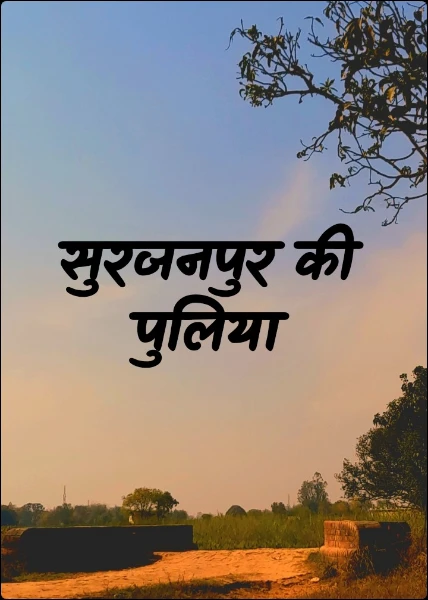 सुरजनपुर की पुलिया