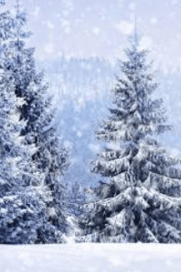 ശൈത്യം
വരികളായ് പിറന്നവ❤️