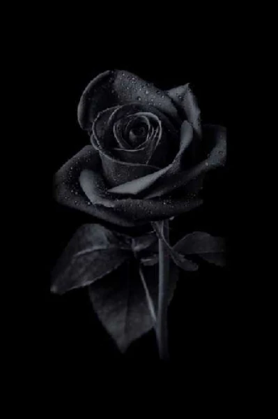 അക്ഷരത്താളുകൾ