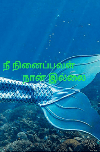 நீ நினைப்பவள் நானில்லை