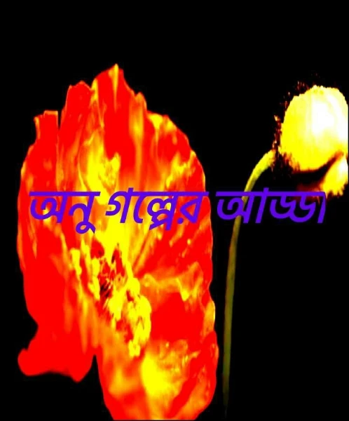 অনু গল্পের আড্ডা