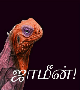 ஜாமீன்!