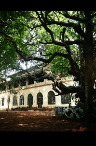 മഹാരാജാസിന്റ സഖാവ്