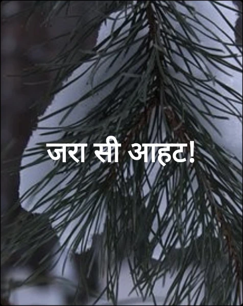 जरा सी आहट!
