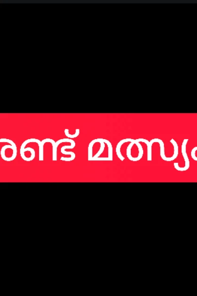 രണ്ട് മീനുകൾ