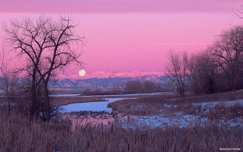 கவிதை என்றால் கவிதை