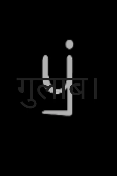 गुलाब।