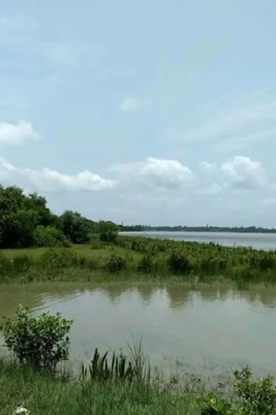 দুটি হাত পর্ব ১