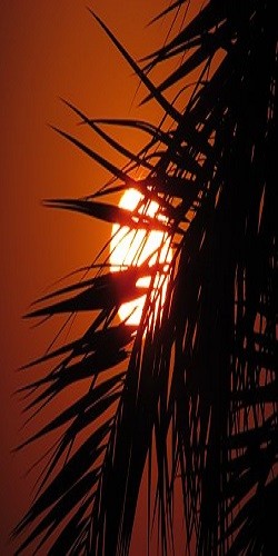 আমাদের সংসার