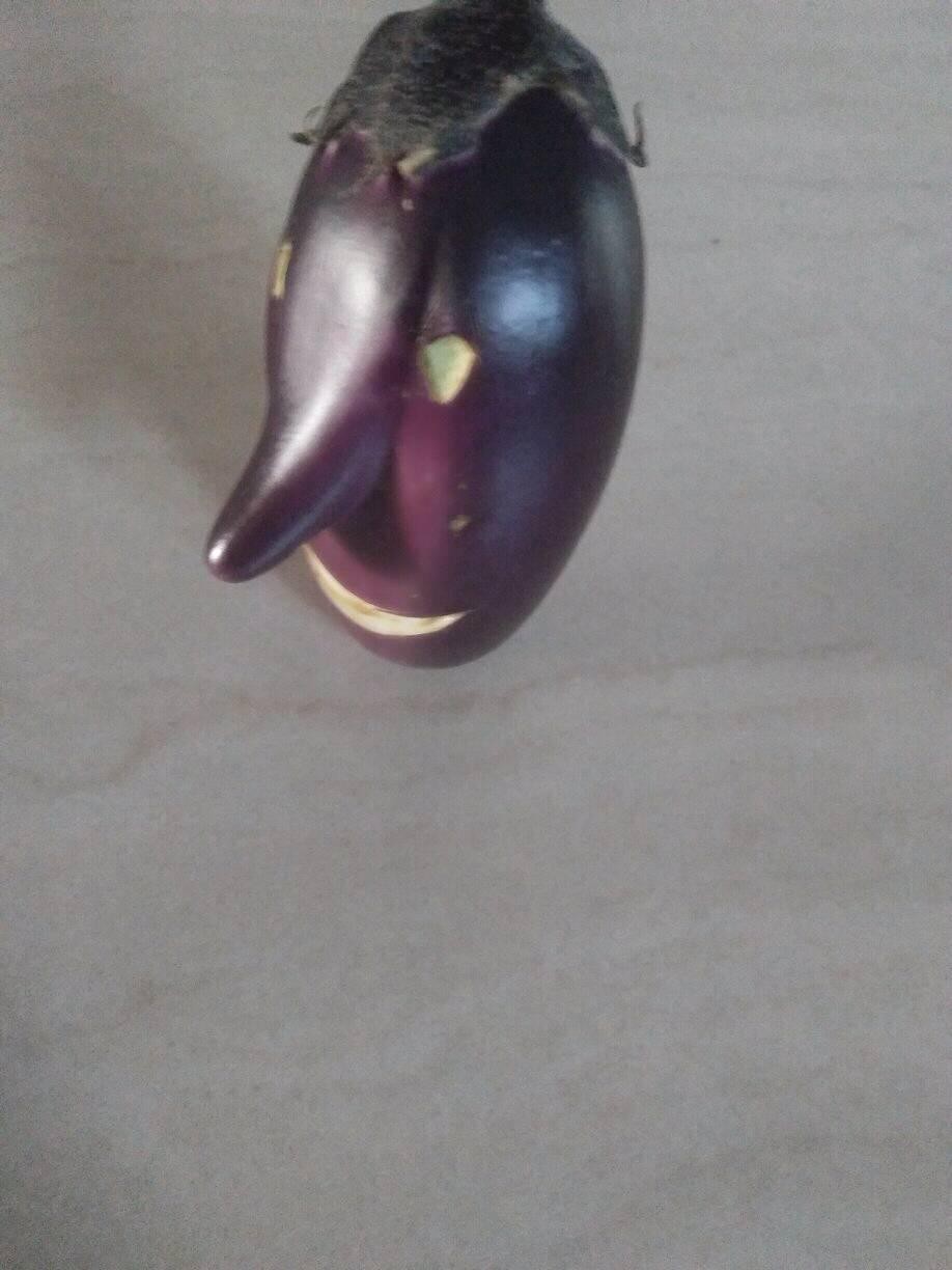 கத்திரிக்கா