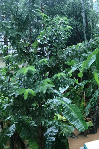 യാത്രാവിവരണം