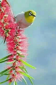 കാത്തിരുപ്പ്