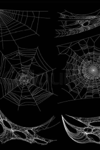 ಜೇಡರ ಬಲೆ