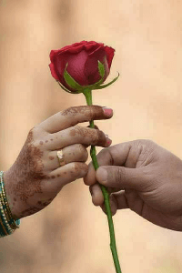 ಸುವಿ ( ಸಮಗ್ರ)