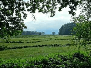 ।।   আবার আসিব ফিরে ।। অধ্যায় ৬