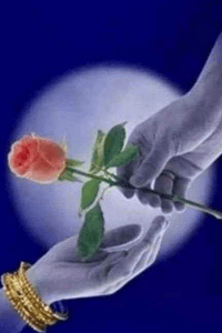 ಹೃದಯ v/s ಕರುಳು