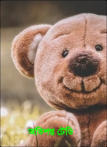 অভিশপ্ত টেডি