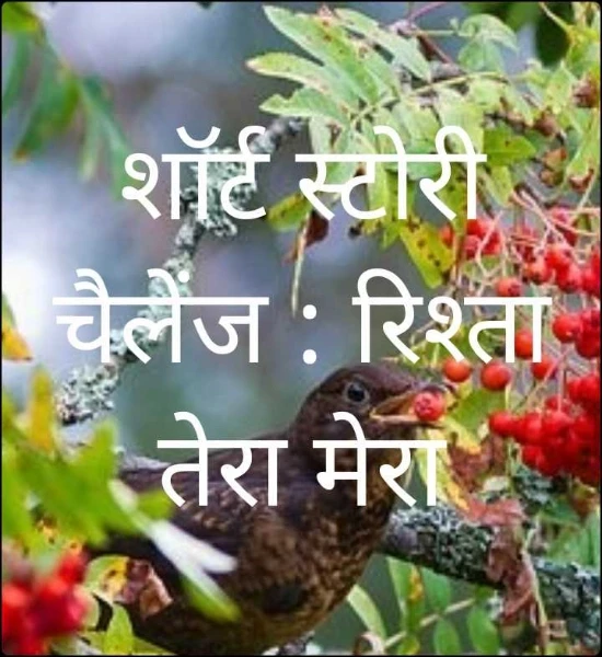 शॉर्ट स्टोरी चैलेंज : रिश्ता तेरा मेरा
