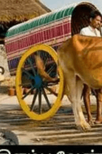 கவிதை தென்றல்2