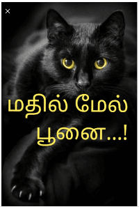 மதில் மேல் 
    பூனை...!