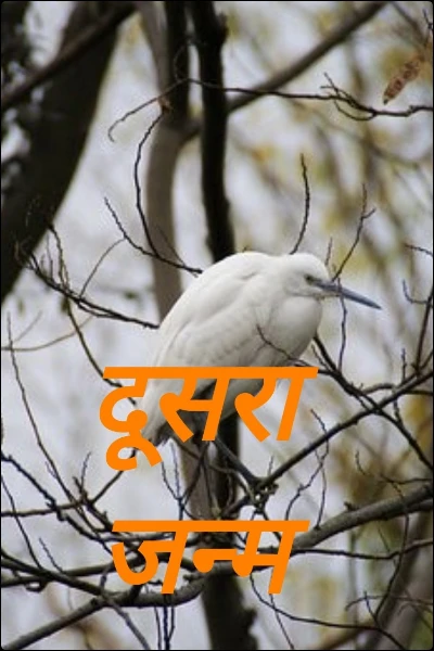 दूसरा जन्म