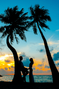 கவிதைகள்
