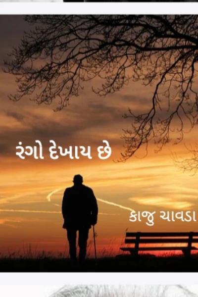 રંગો દેખાય છે