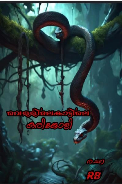 വെള്ളിമല കാട്ടിലെ കരിങ്കോളി..