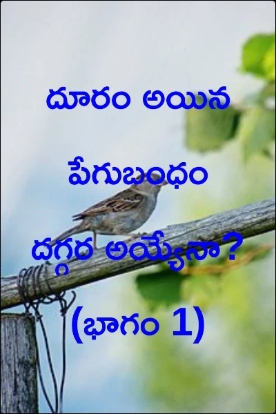 దూరం అయిన పేగుబంధం దగ్గర అయ్యేనా? (భాగం 1)