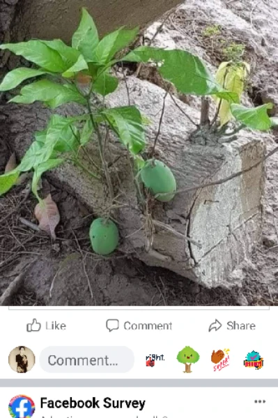 परिस्थितियों का अनुभव
